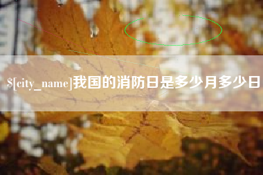 安陆我国的消防日是多少月多少日