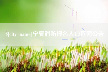 安陆宁夏消防报名入口官网公告