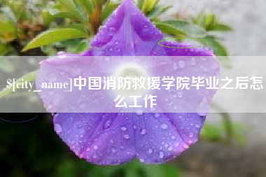安陆中国消防救援学院毕业之后怎么工作