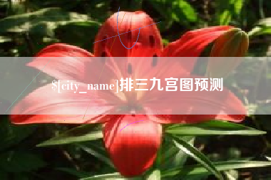 安陆排三九宫图预测