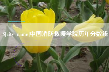 安陆中国消防救援学院历年分数线