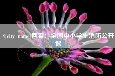 安陆回看：全国中小学生消防公开课
