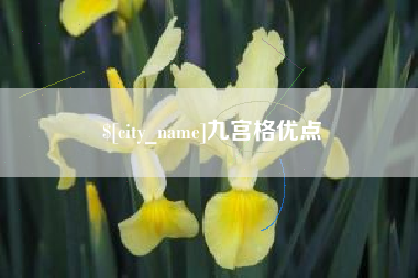 安陆九宫格优点