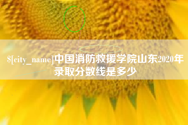 安陆中国消防救援学院山东2020年录取分数线是多少