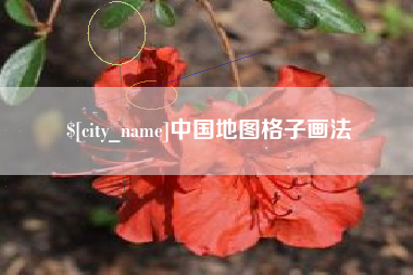 安陆中国地图格子画法