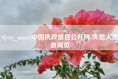 安陆中国执政信息公开网-失信人员查询页