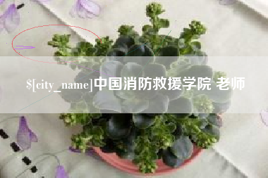 安陆中国消防救援学院 老师