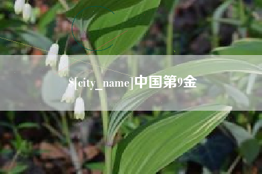 安陆中国第9金