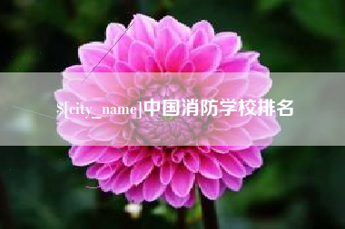 安陆中国消防学校排名