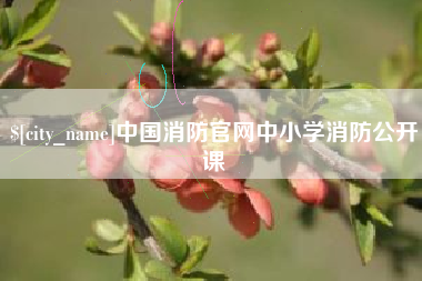 安陆中国消防官网中小学消防公开课