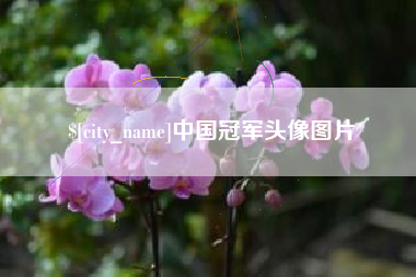 安陆中国冠军头像图片