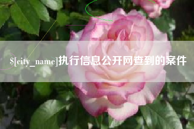 安陆执行信息公开网查到的案件