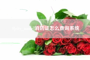 安陆消防证怎么查询系统