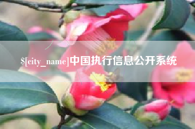 安陆中国执行信息公开系统