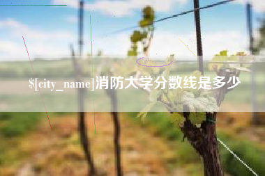 安陆消防大学分数线是多少