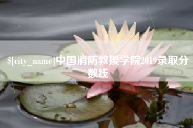 安陆中国消防救援学院2019录取分数线