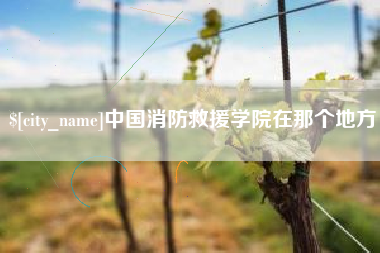 安陆中国消防救援学院在那个地方