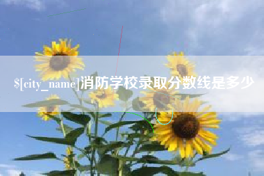 安陆消防学校录取分数线是多少