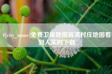 安陆免费卫星地图高清村庄地图看到人实时下载