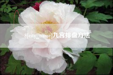 安陆九宫排盘方法