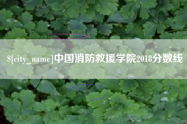 安陆中国消防救援学院2018分数线