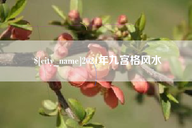 安陆2021年九宫格风水