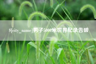 安陆男子5000米世界纪录告破