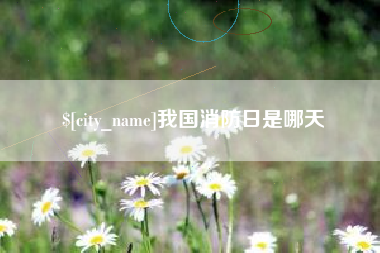安陆我国消防日是哪天