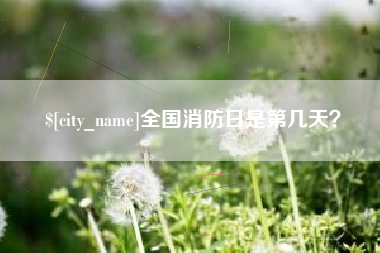 安陆全国消防日是第几天？
