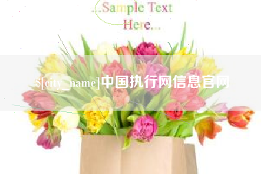 安陆中国执行网信息官网