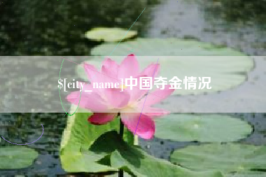 安陆中国夺金情况