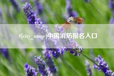 安陆中国消防报名入口