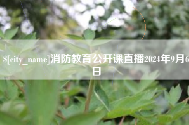 安陆消防教育公开课直播2024年9月6日