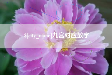 安陆九宫对应数字