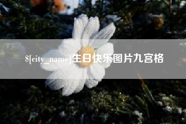 安陆生日快乐图片九宫格