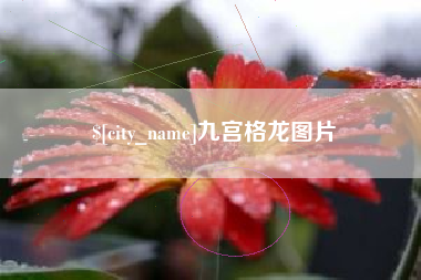 安陆九宫格龙图片