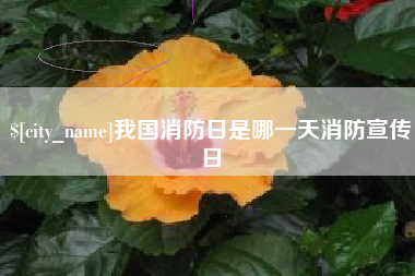 安陆我国消防日是哪一天消防宣传日
