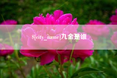安陆九金是谁