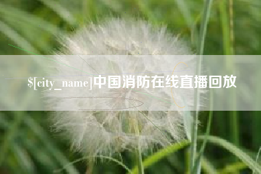 安陆中国消防在线直播回放