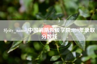 安陆中国消防救援学院2019年录取分数线