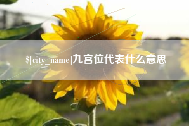 安陆九宫位代表什么意思