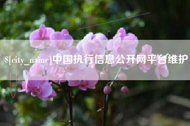 安陆中国执行信息公开网平台维护