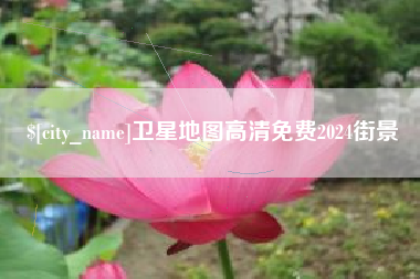 安陆卫星地图高清免费2024街景