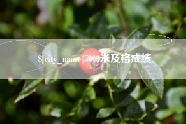 安陆5000米及格成绩