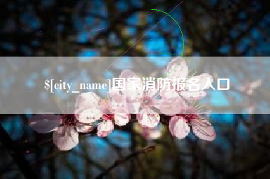 安陆国家消防报名入口