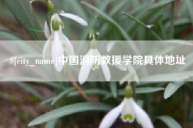 安陆中国消防救援学院具体地址