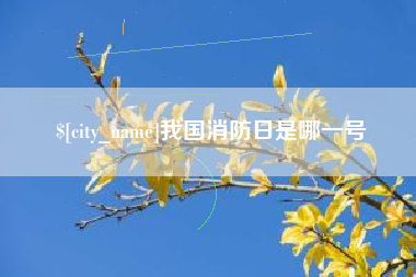 安陆我国消防日是哪一号