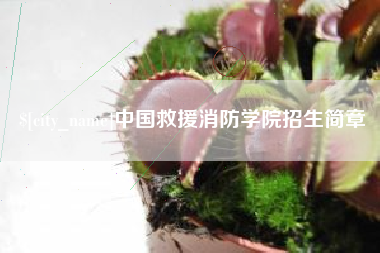 安陆中国救援消防学院招生简章