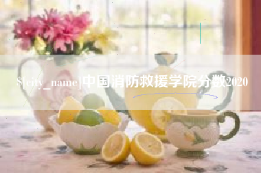 安陆中国消防救援学院分数2020