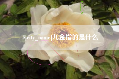 安陆九金指的是什么